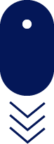 Scroll Icon